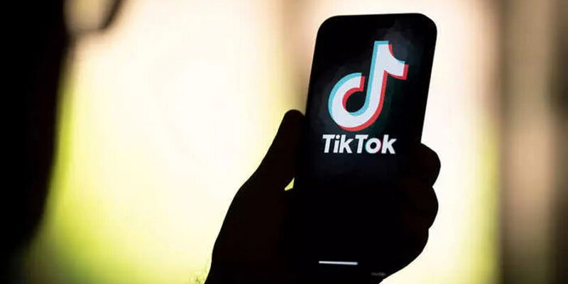 Allegations of Discrimination at TikTok: The Case of Katie Ellen Puris